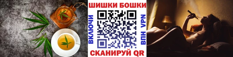 Canna-Cookies марихуана  ссылка на мегу вход  Сургут 
