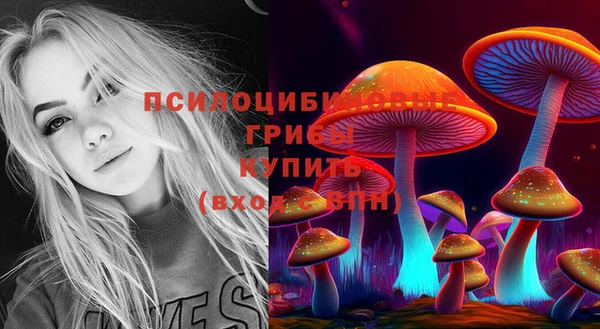 ГАЛЛЮЦИНОГЕННЫЕ ГРИБЫ Вязьма
