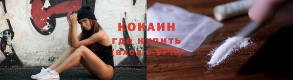 apvp Вяземский