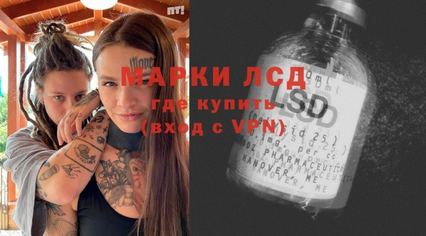 ГАЛЛЮЦИНОГЕННЫЕ ГРИБЫ Вязьма