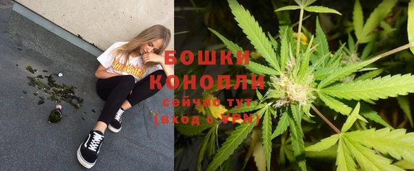 прущая мука Дубна
