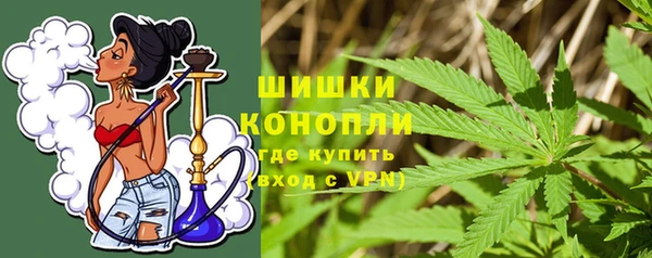 ГАЛЛЮЦИНОГЕННЫЕ ГРИБЫ Вязьма