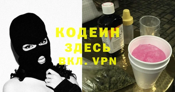 apvp Вяземский