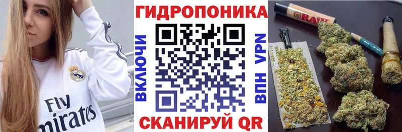 MEGA ССЫЛКА  Сургут  Шишки марихуана конопля 